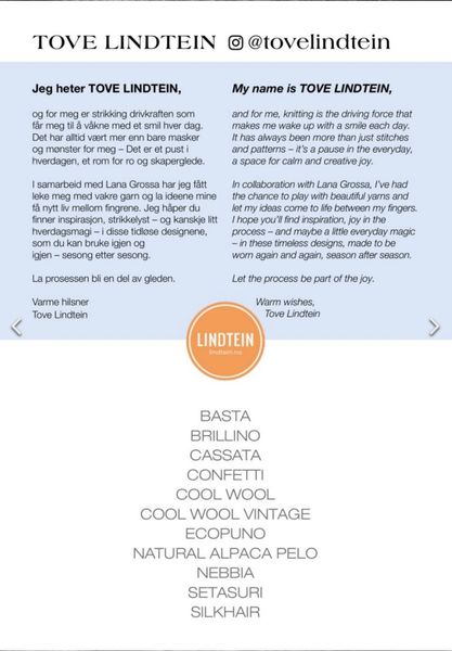 Hovedbilde Tove Lindtein Flyer. Oppskrifter